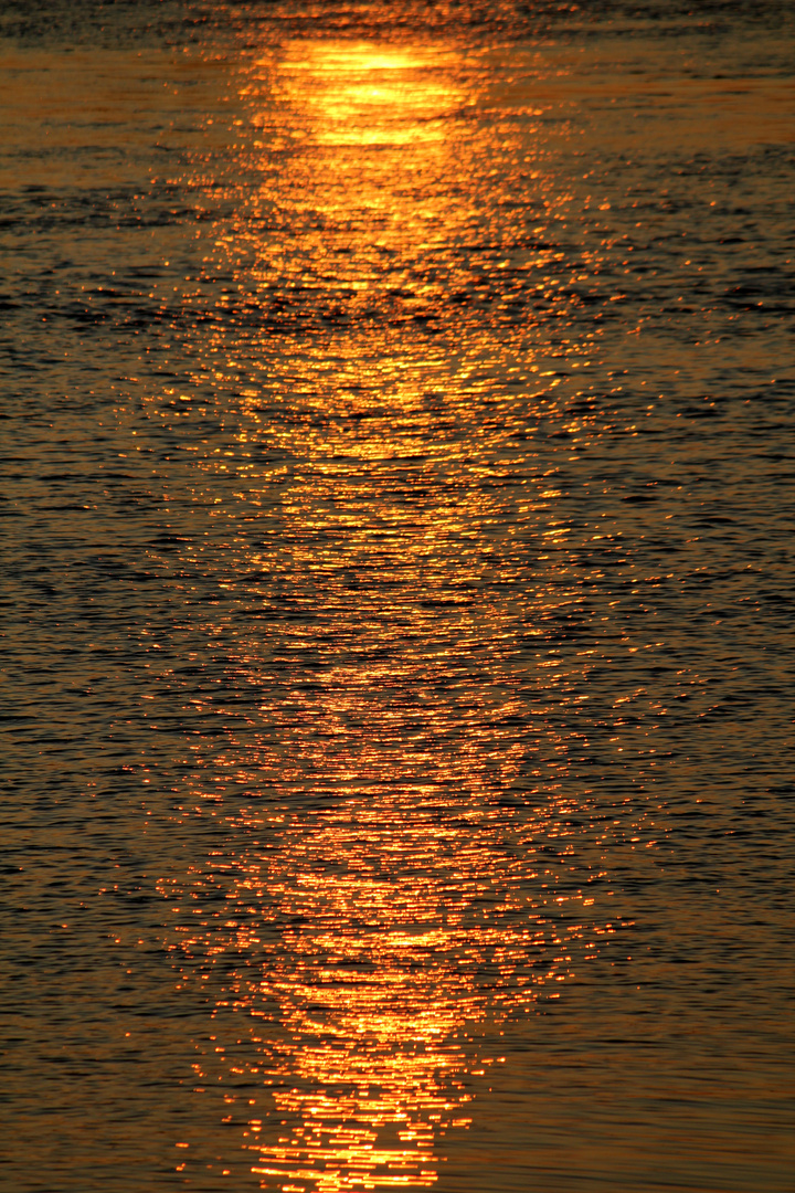 Der Sonnenuntergang spiegelt sich im Rhein...