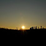 Der Sonnenuntergang vom 30.01.2011 /2