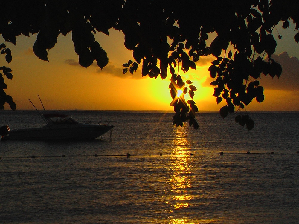 Der Sonnenuntergang war so schön / Mauritius