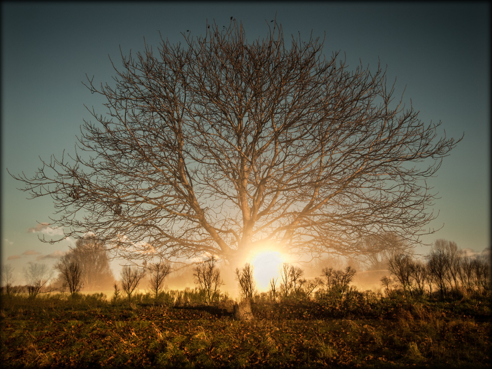 Der Sonnenwender.