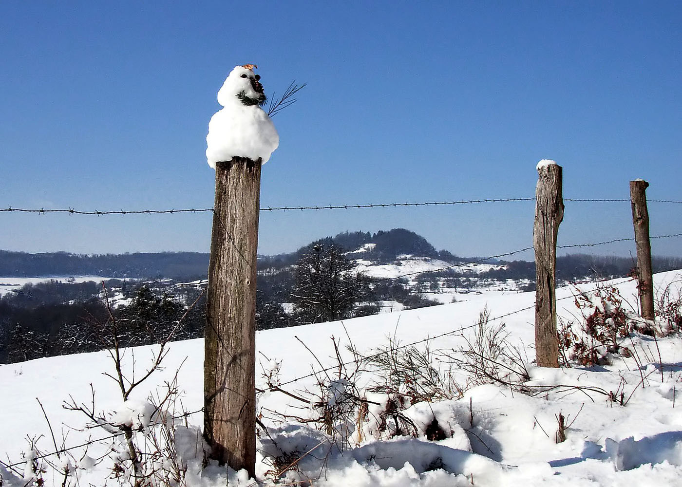 Der sonntägliche Schneespaziergang ...