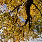 Der Sonntag war ein schöner, sonniger Herbsttag. Perfekt für den Alt Attnanger Rundwanderweg