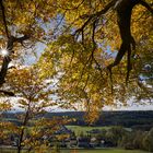 Der Sonntag war ein schöner, sonniger Herbsttag. Perfekt für den Alt Attnanger Rundwanderweg