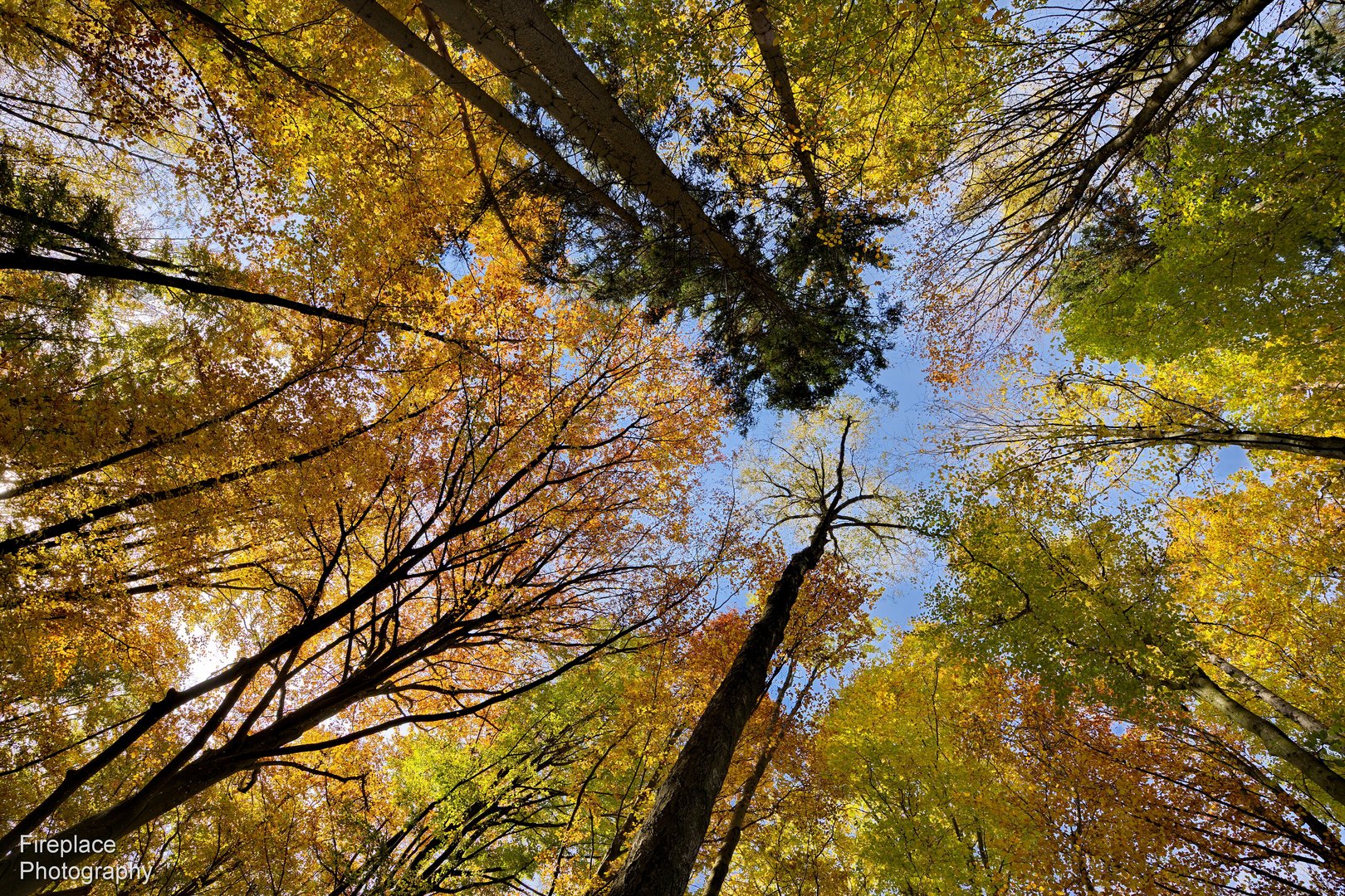 Der Sonntag war ein schöner, sonniger Herbsttag. Perfekt für den Alt Attnanger Rundwanderweg