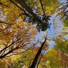 Der Sonntag war ein schöner, sonniger Herbsttag. Perfekt für den Alt Attnanger Rundwanderweg