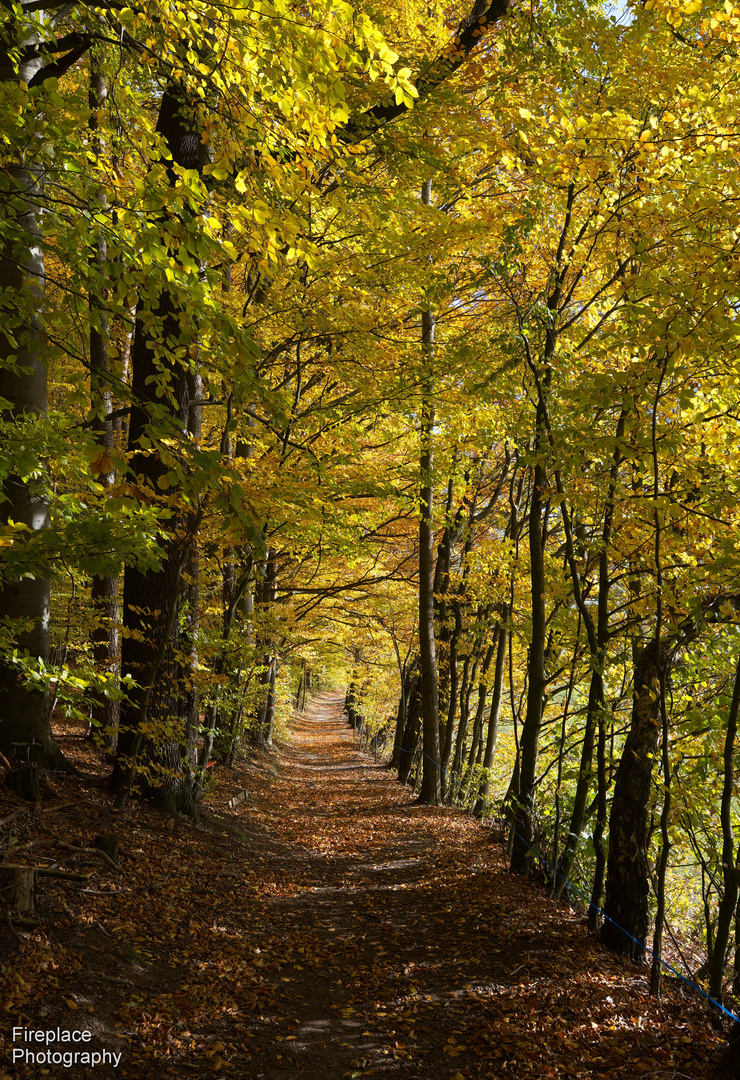 Der Sonntag war ein schöner, sonniger Herbsttag. Perfekt für den Alt Attnanger Rundwanderweg