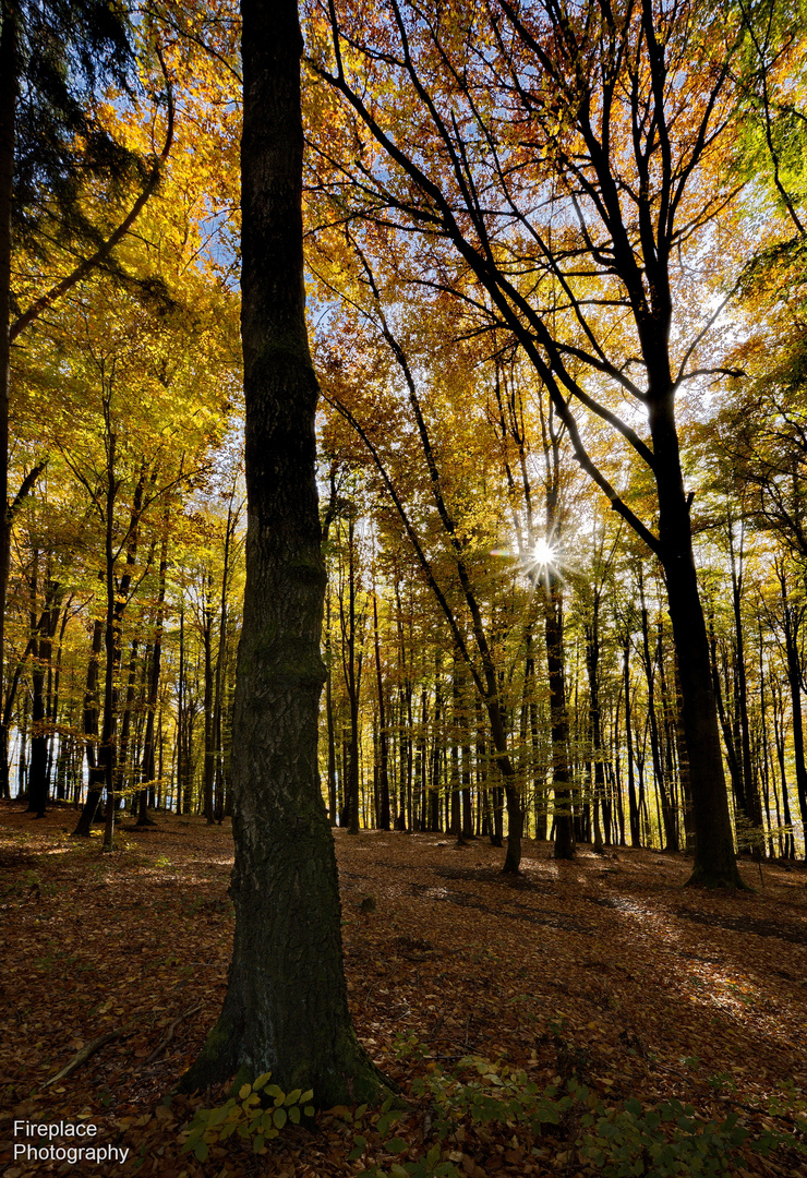 Der Sonntag war ein schöner, sonniger Herbsttag. Perfekt für den Alt Attnanger Rundwanderweg