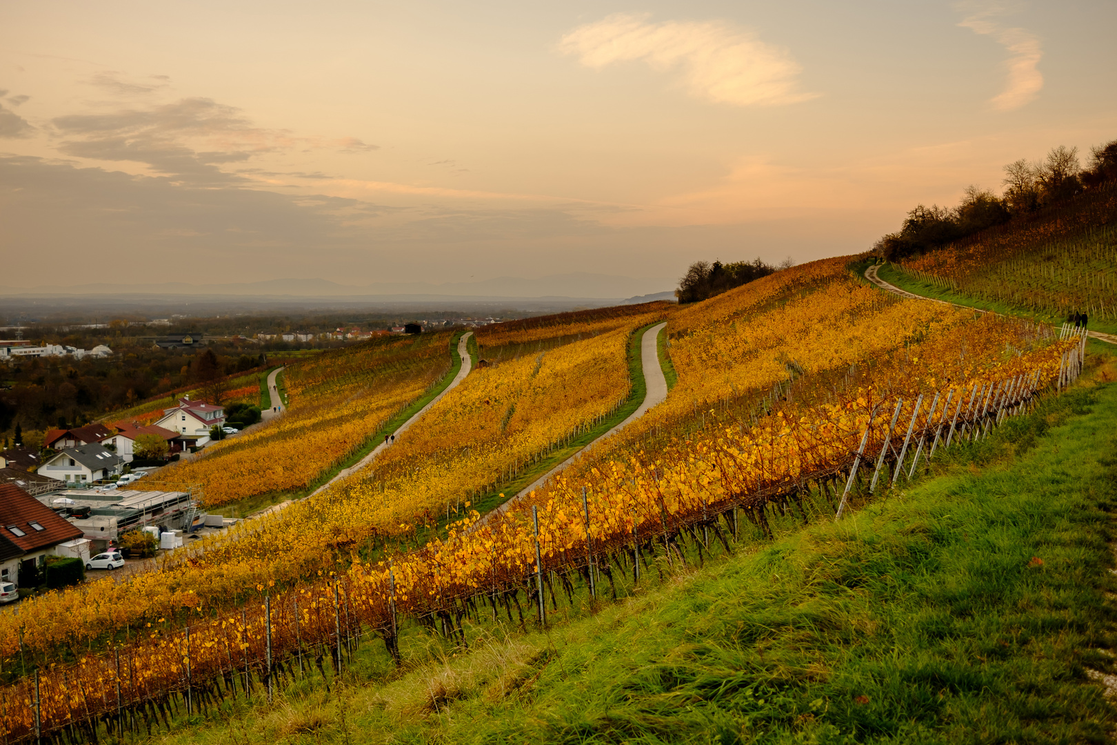 Der Sonntagsspaziergang