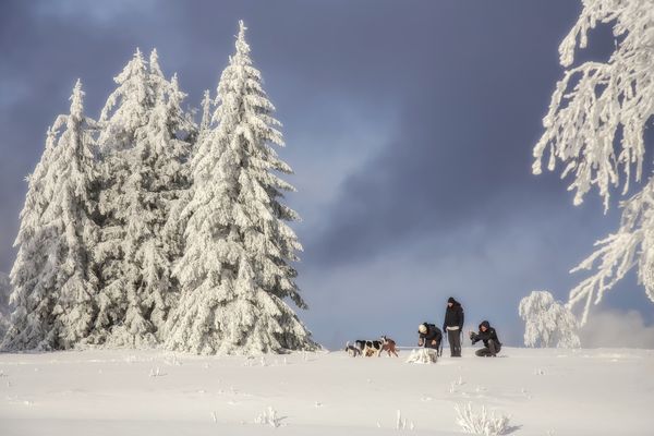 Der Sonntagsspaziergang