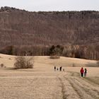 Der Sonntagsspaziergang