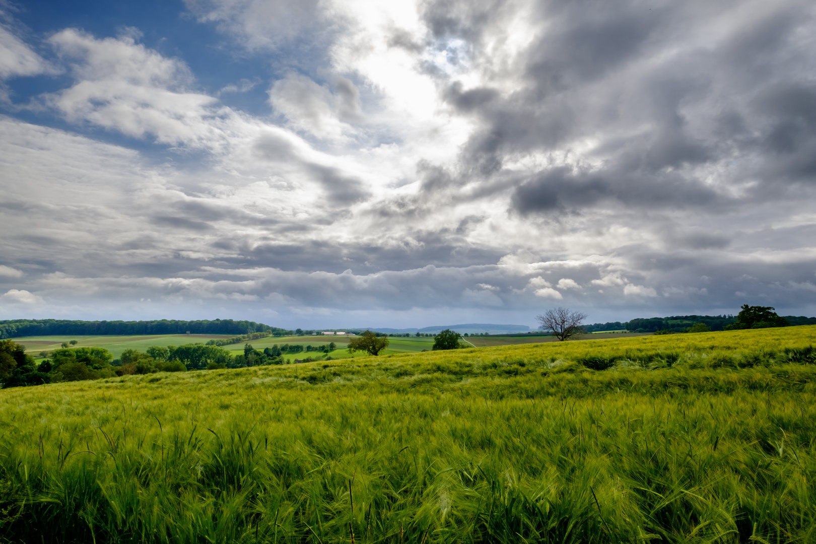 Der Sonntagsspaziergang