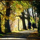 Der Sonntagsspaziergang