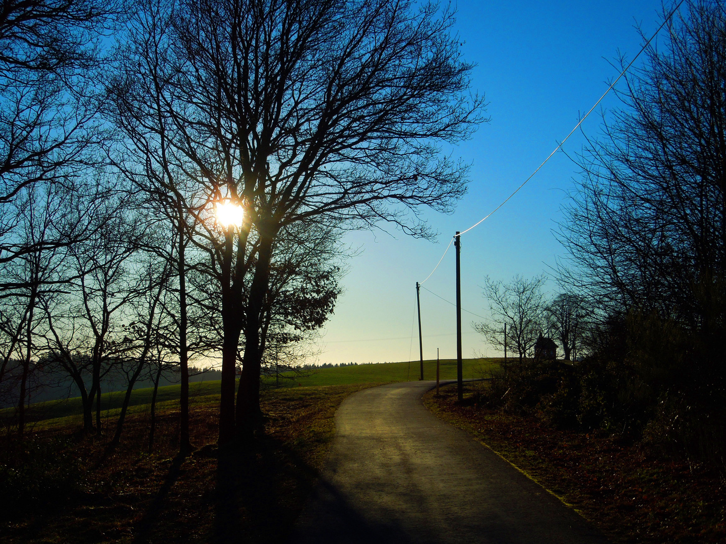 Der Sonntagsspaziergang