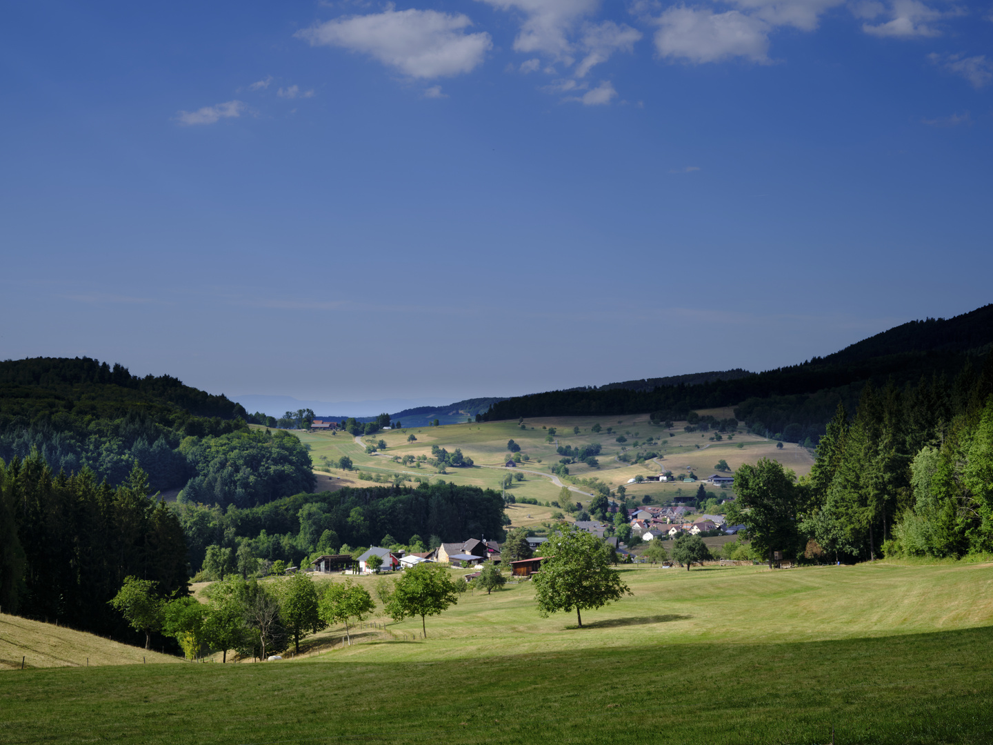 Der Sonntagsspaziergang