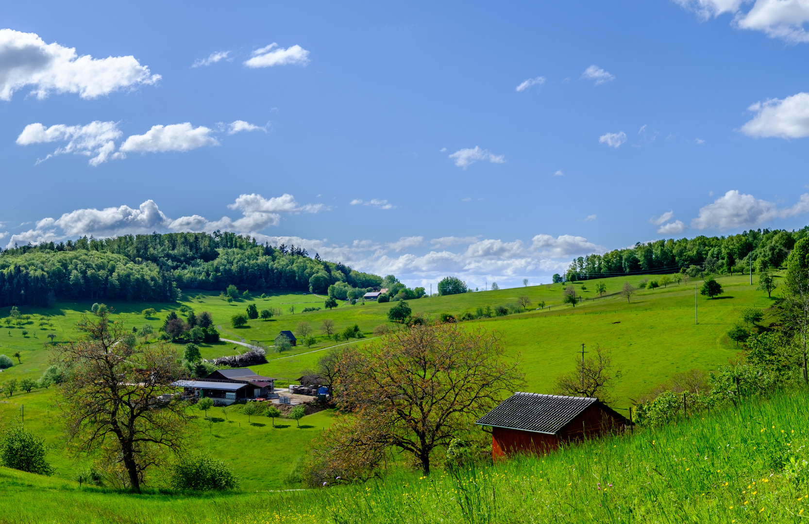 Der Sonntagsspaziergang