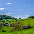 Der Sonntagsspaziergang