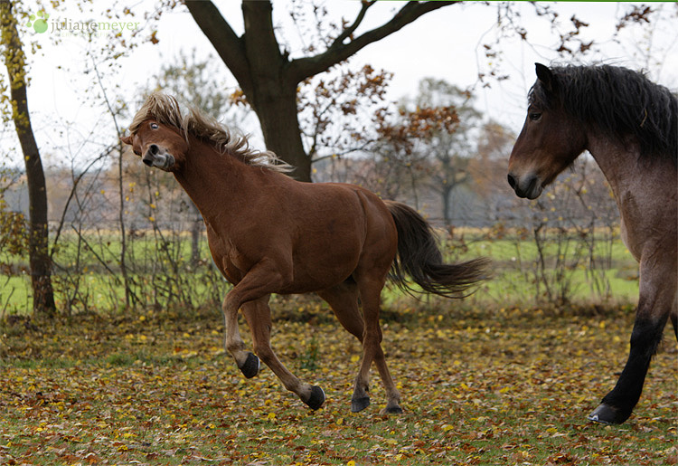 Der Spacko und der Dicke :-)