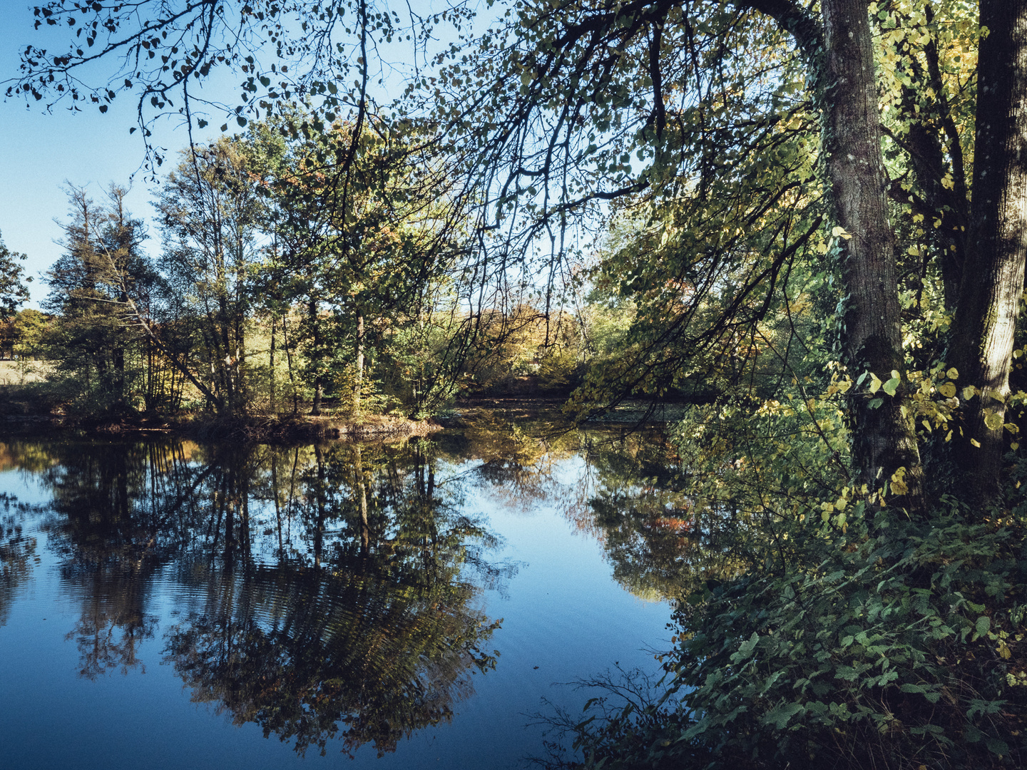 Der Spätbarock schuf diesen Teich