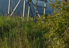 Der späte Sommer, die Blomen und das Schussfeld