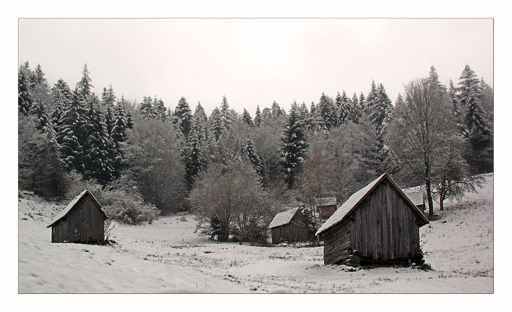 der späte winter