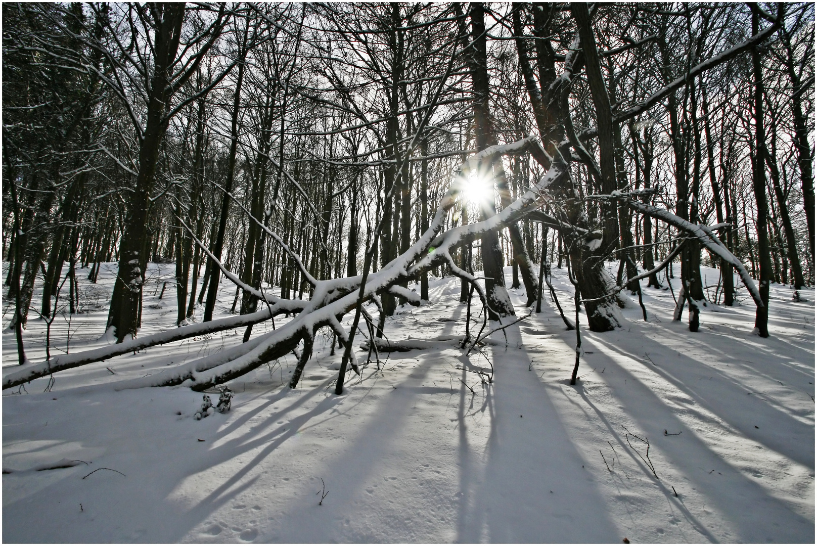 der später Winter Foto & Bild landschaft, jahreszeiten, winter Bilder