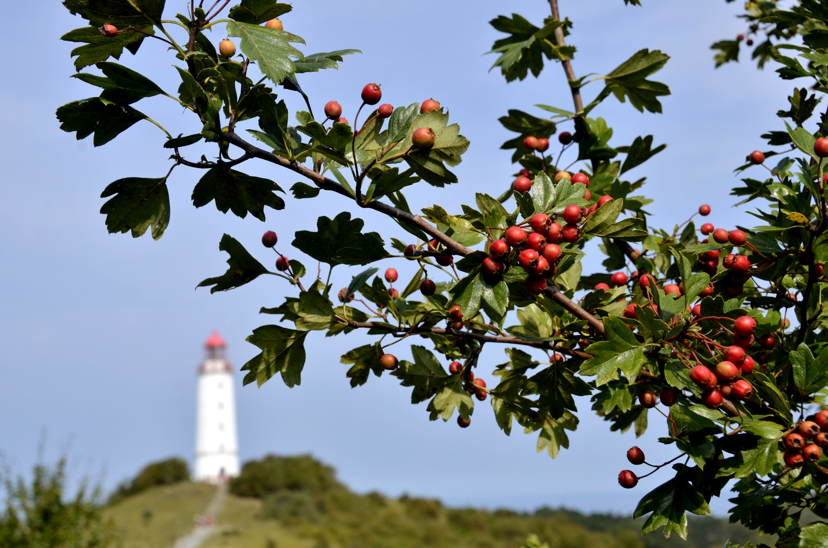 Der Spätsommer 