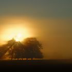 Der Spätsommer beginnt