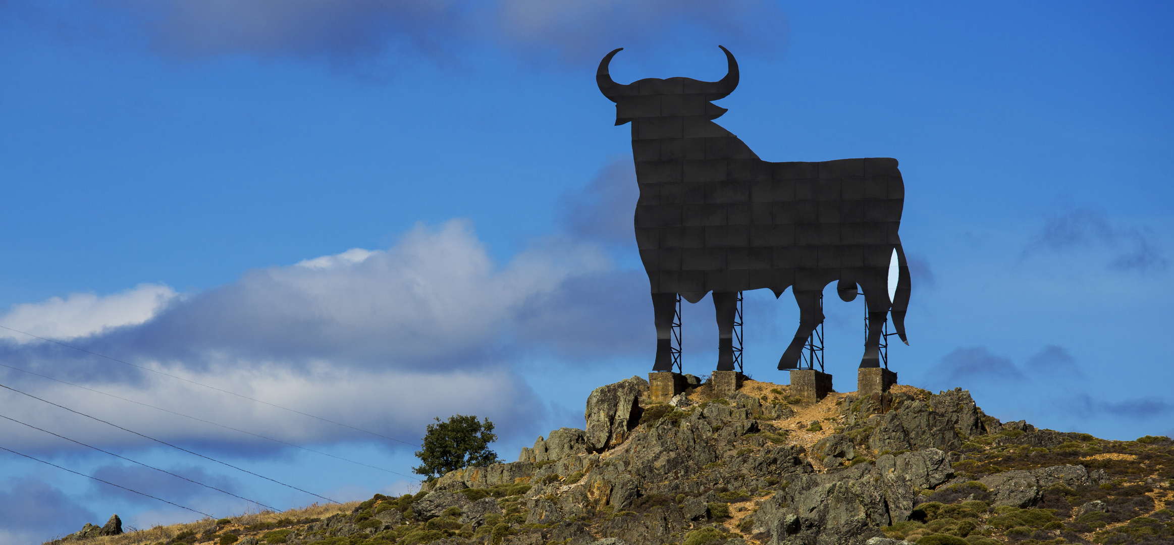 Der spanische Stier