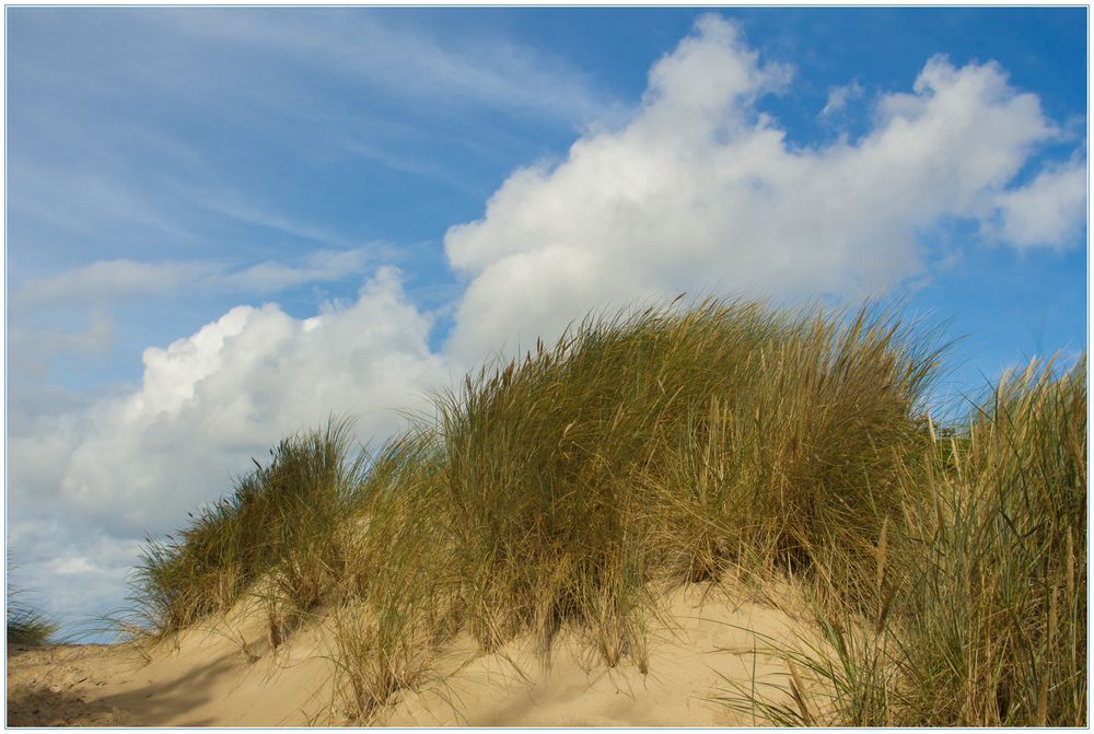 Der spannendste Moment beim Stapfen durch die Sanddüne...