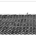 Der Spatz auf dem Dach