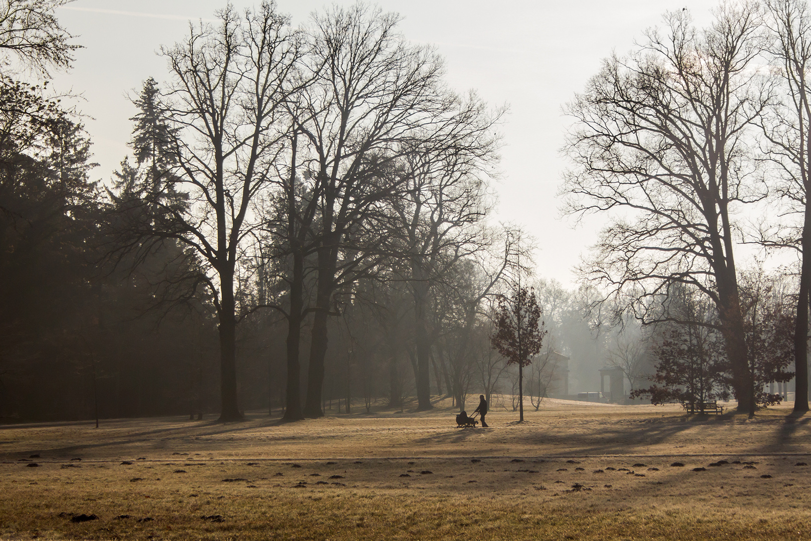 der Spaziergänger von Sanssouci