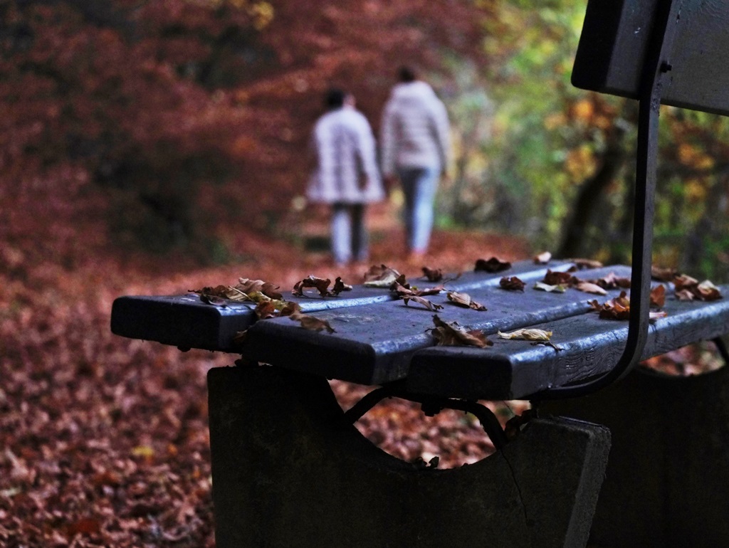 Der Spaziergang