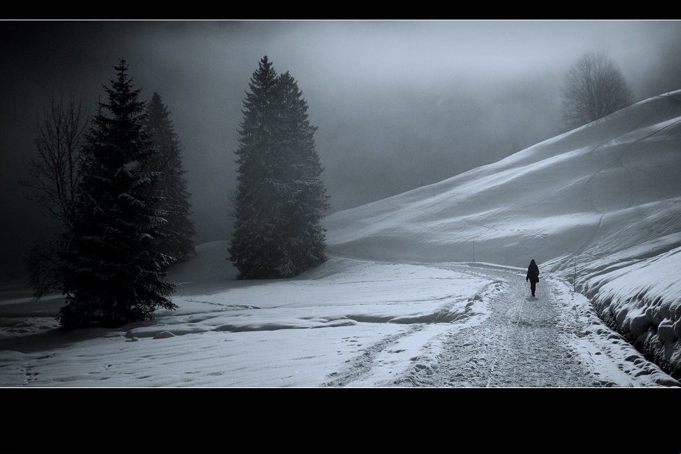 Der Spaziergang