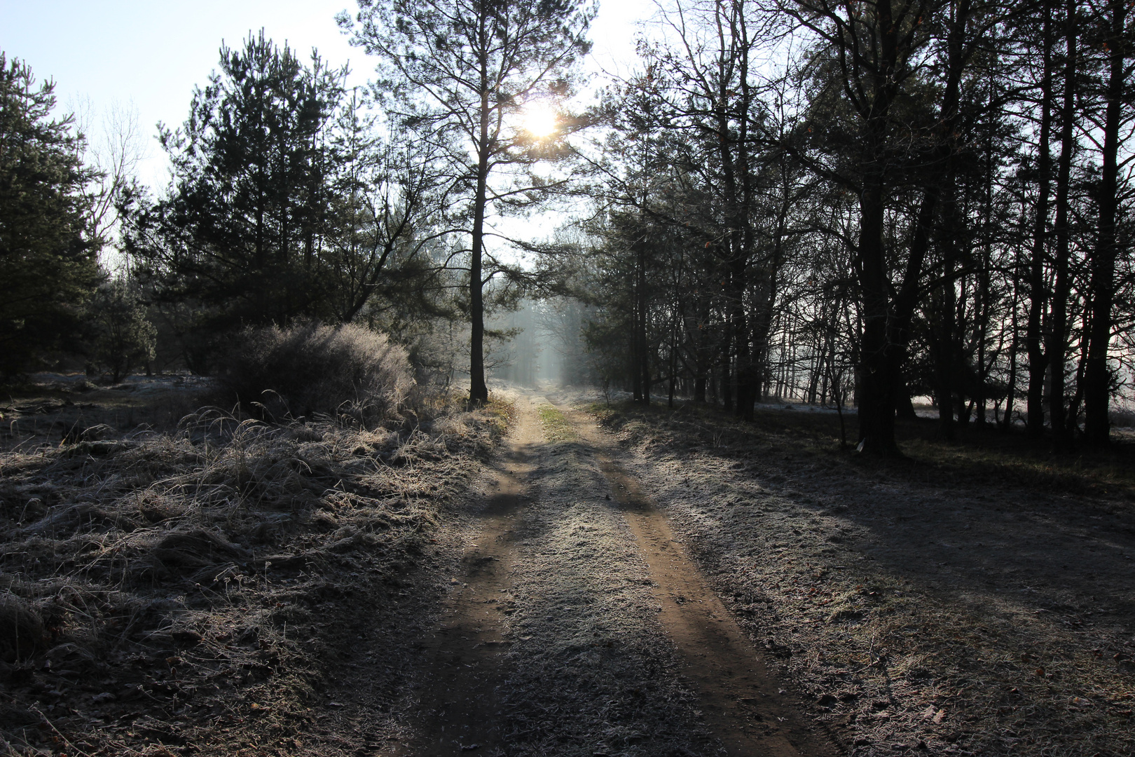 Der Spaziergang