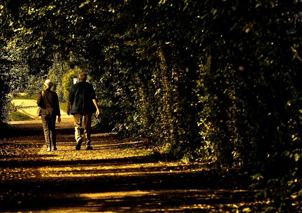 Der Spaziergang