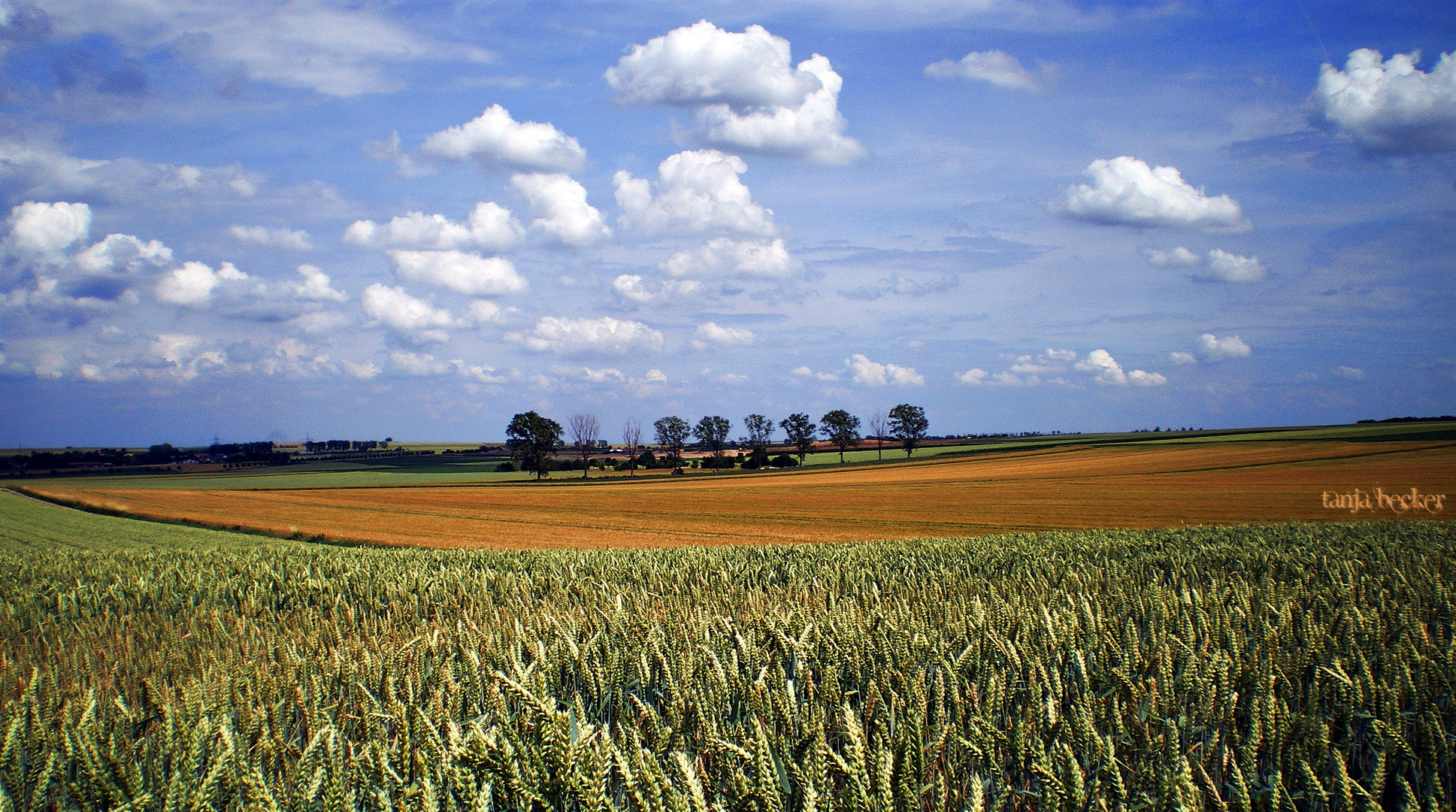 Der Spaziergang