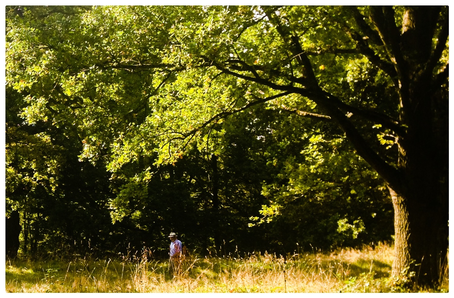 Der Spaziergang......