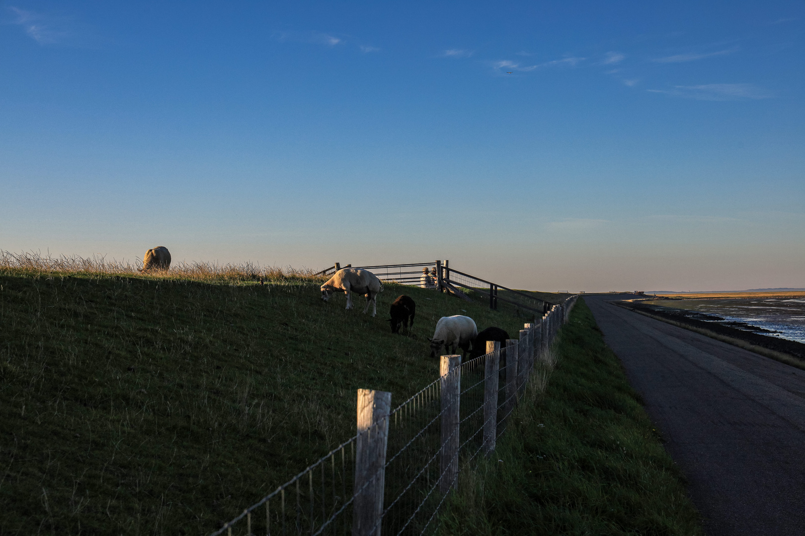 Der Spaziergang.....