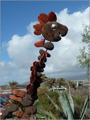 Der "Specht" am Strand