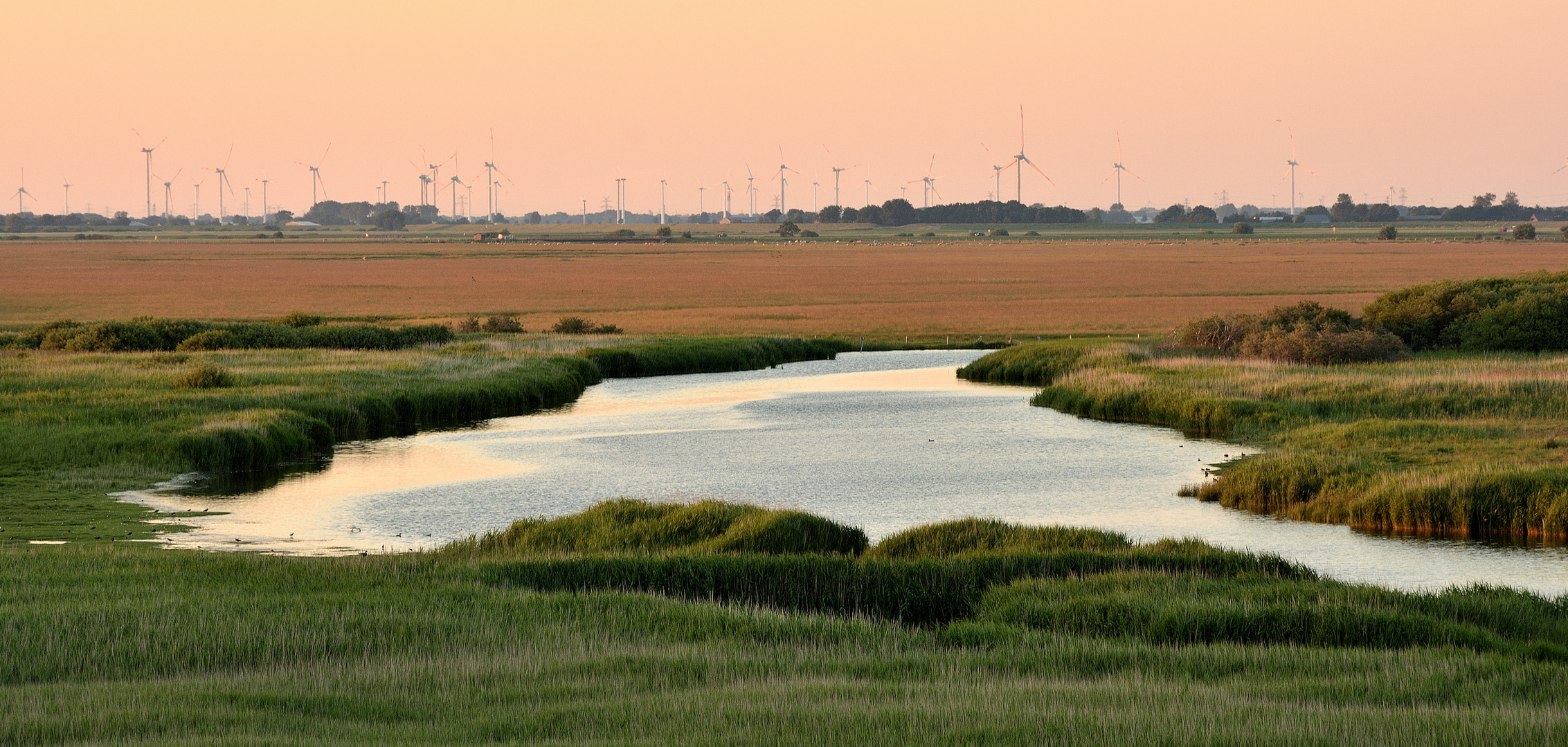 Der Speicherkoog in der Abendsonne