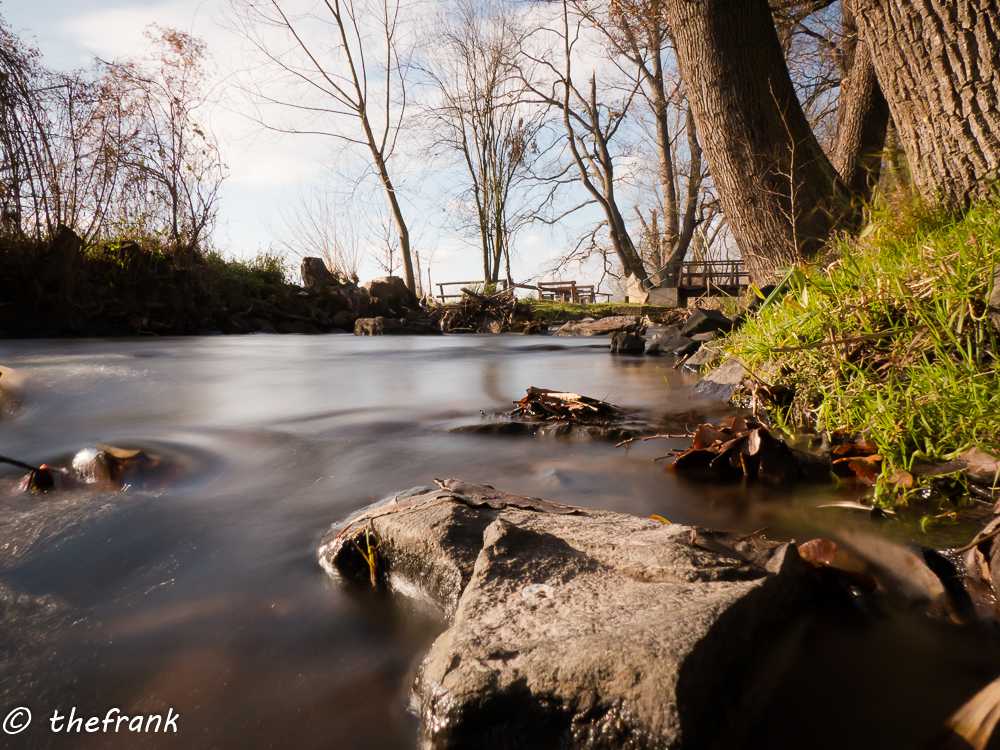 Der Speyerbach