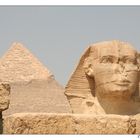 Der Sphinx