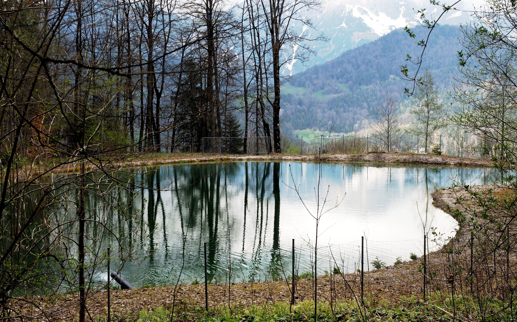 Der Spiegel des Fischweiher