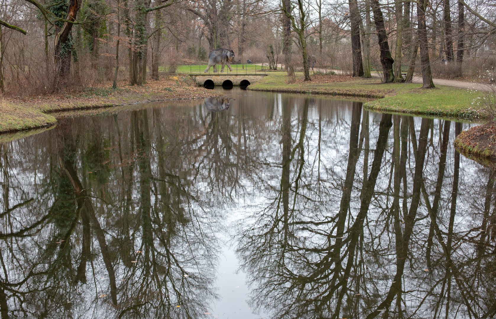 Der Spiegel im Großen Garten Foto & Bild projekte