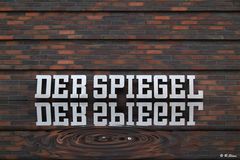 Der Spiegel im Wasser