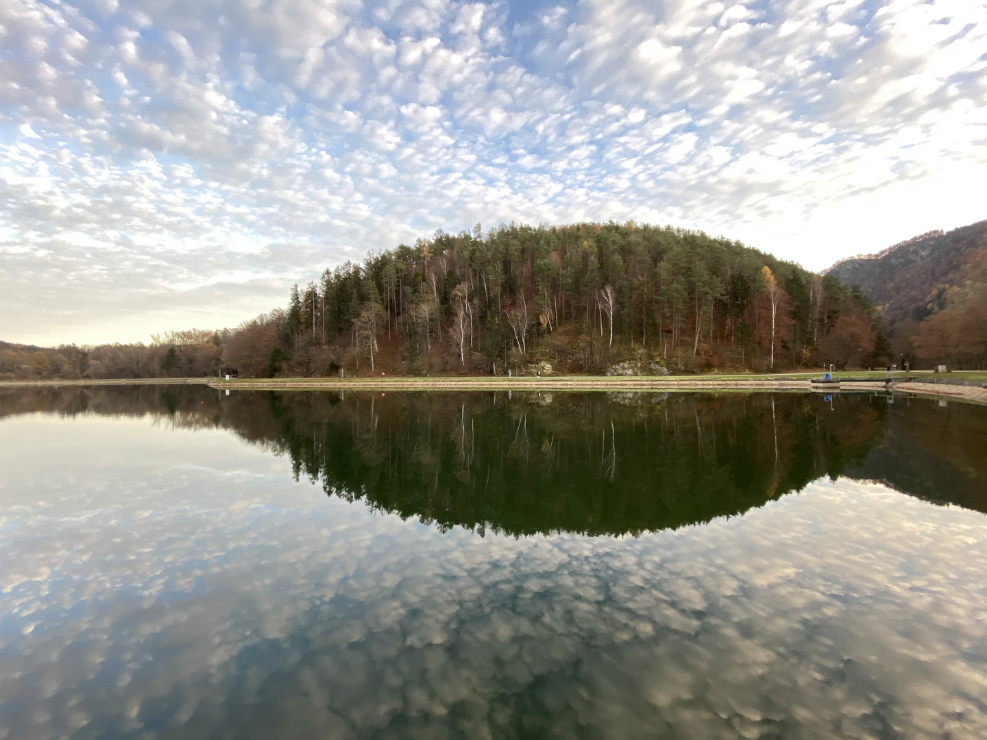 Der Spiegelfisch im Wald