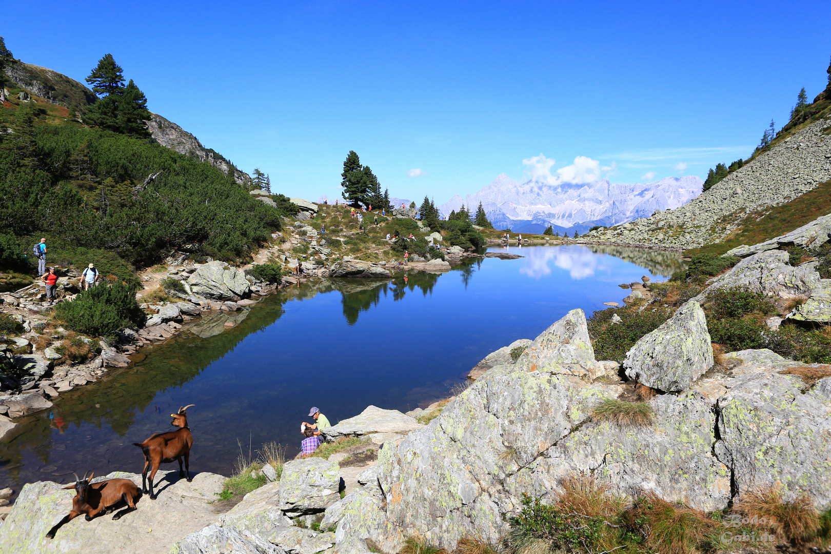 Der Spiegelsee