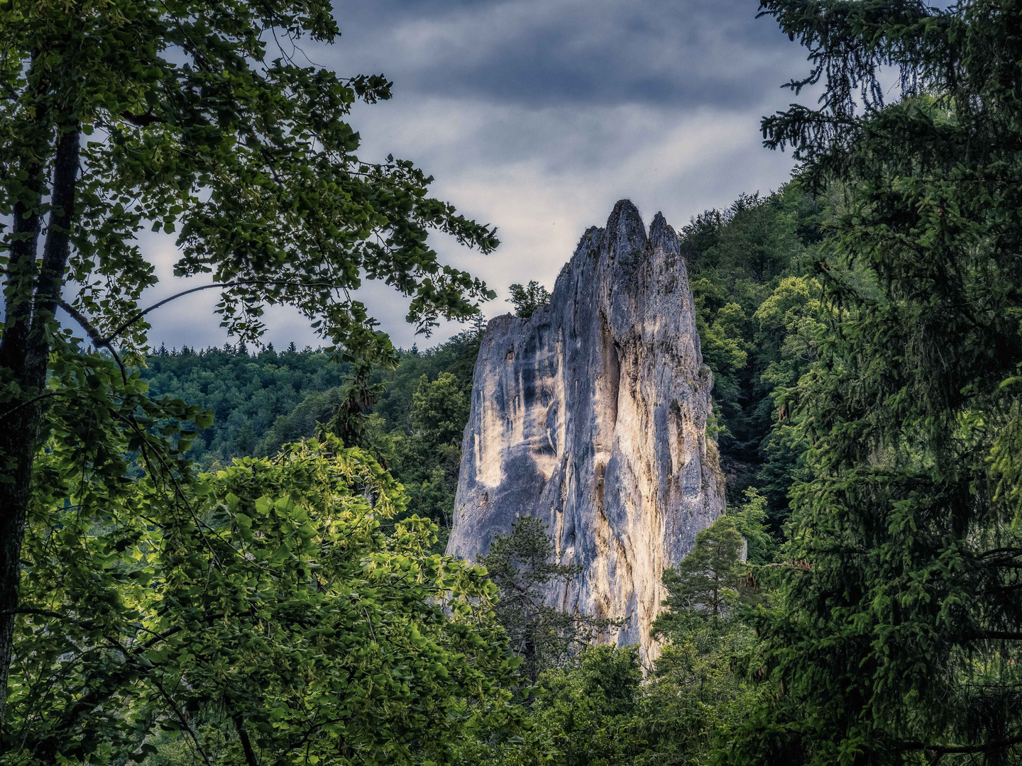 Der spitze Felsen im Wald