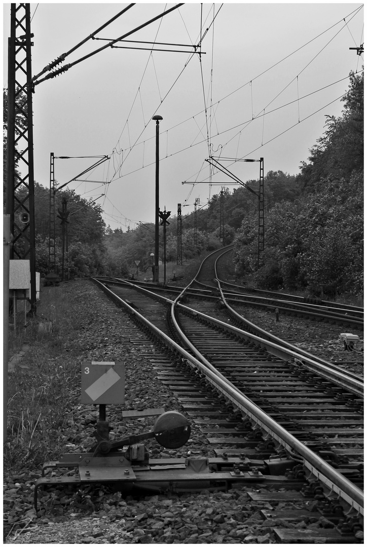 Der Spitzkehrenbahnhof...