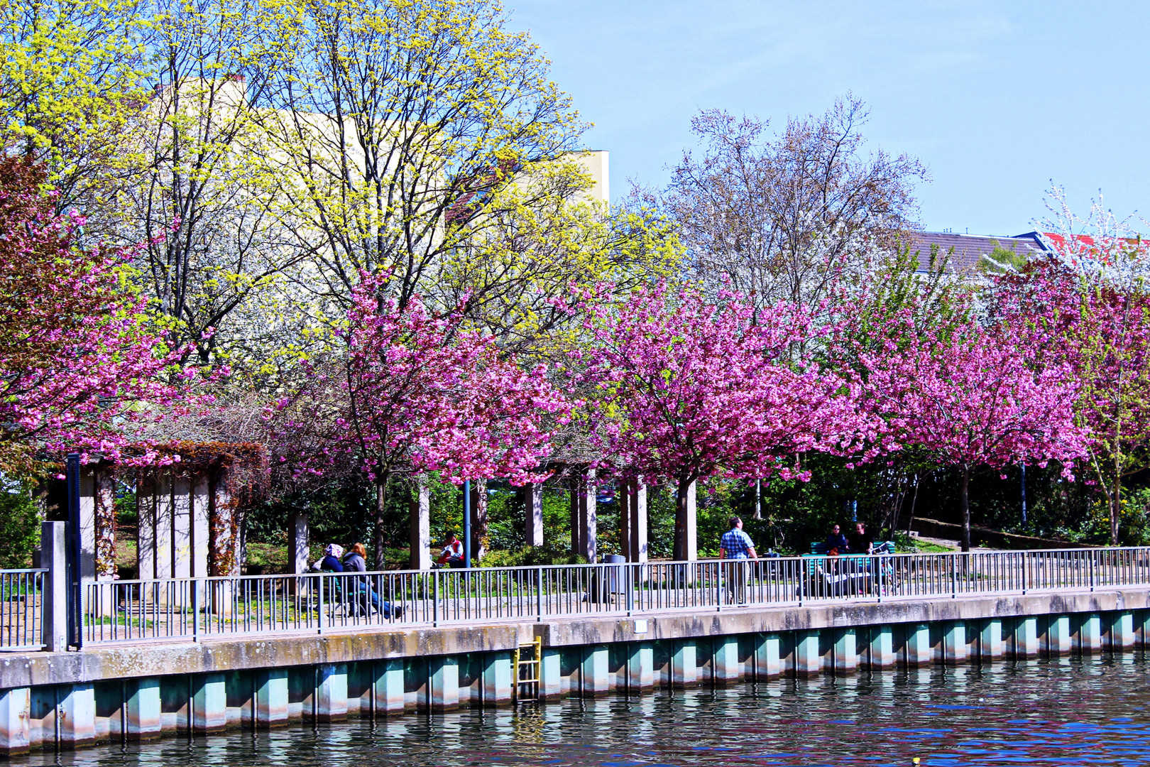 Der Spree entlang ...